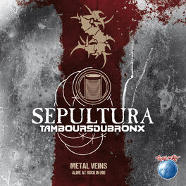 Album cover of Metal Veins - Alive at Rock in Rio
