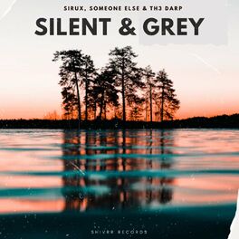 Album cover of Silent & Grey