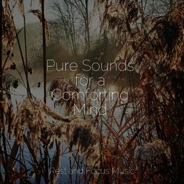 Album cover of Pure Sounds for a Comforting Mind