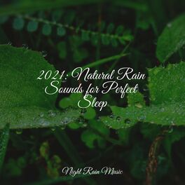 Album cover of 2021: Natural Rain Sounds for Perfect Sleep
