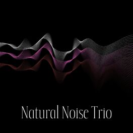 Album cover of Natural Noise Trio: Improved Focus Brown Noise, Deeper Sleep Pink Noise, Ultimate Relaxation White Noise