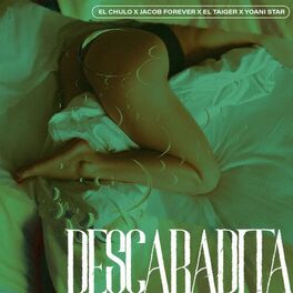 Album cover of Descaradita