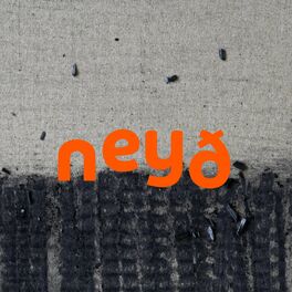 Album cover of Neyð