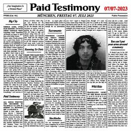 Album cover of Paid Testimony
