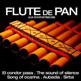 Album cover of Les plus grands succés de la flûte de Pan aux synthétiseurs
