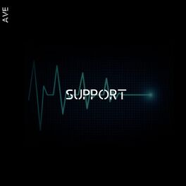 Album cover of The Support