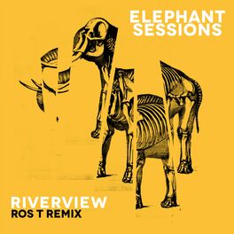 Album cover of Riverview (Ros T Remix)