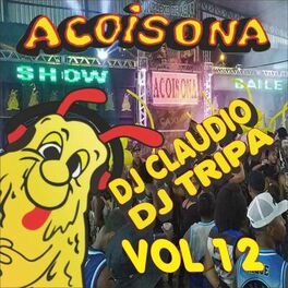 Album cover of Acoisona, Vol. 12
