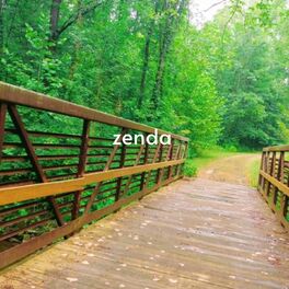 Album cover of Zenda