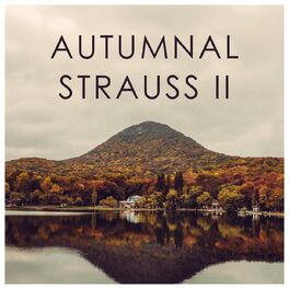 Album cover of Autumnal Strauss II