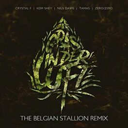 Album cover of Gras in der Luft (The Belgian Stallion Remix)