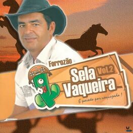 Album cover of Forrozão Sela Vaqueira, Vol. 2