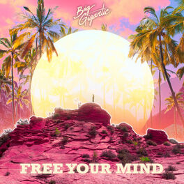Album cover of Free Your Mind