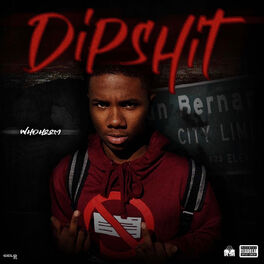 Album cover of DipShit