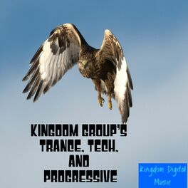 Album cover of Kingdom Group's Trance, Tech, & Progressive