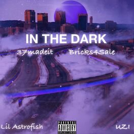 Album cover of In The Dark (feat. Lil Astrofish & UZI)