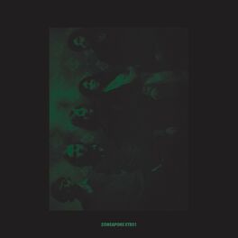 Album cover of Tamer Animals - Atoms for Peace Remix
