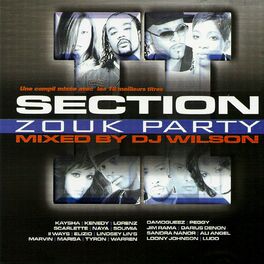 Album cover of Section Zouk Party