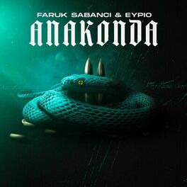 Album cover of ANAKONDA