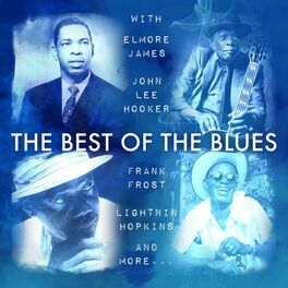 Album cover of Best of the Blues