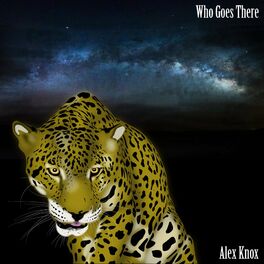 Album cover of Who Goes There