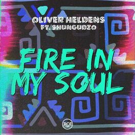 Album cover of Fire In My Soul (feat. Shungudzo)