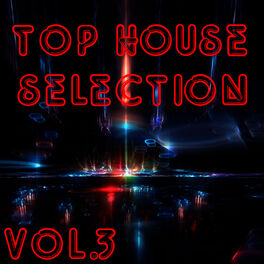 Album cover of Top House Selection Vol. 3