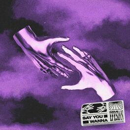 Album cover of Say You Wanna