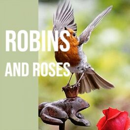 Album cover of Robins and Roses