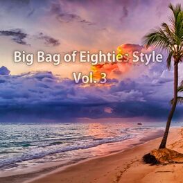 Album cover of Big Bag of Eighties Style, Vol. 3