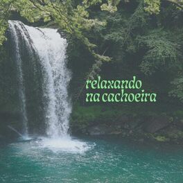 Album cover of Relaxando na cachoeira
