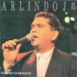 Album cover of Pássaro Sonhador