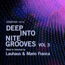 Album cover of Deep Into Nite Grooves, Vol. 3