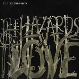 Album cover of The Hazards of Love