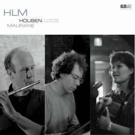 Album cover of HLM (Version 2012)
