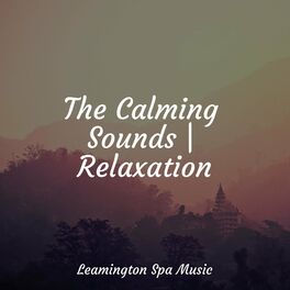 Album cover of The Calming Sounds | Relaxation