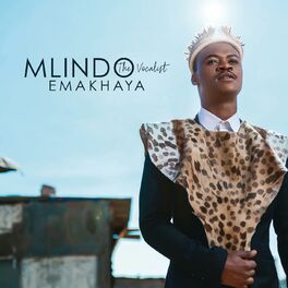 Album cover of Emakhaya