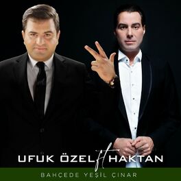 Album cover of Bahçede Yeşil Çınar