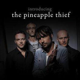 Album cover of Introducing... The Pineapple Thief