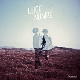 Album cover of Ulige Numre