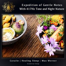 Album cover of Expedition of Gentle Notes with 417Hz Tone and Night Nature