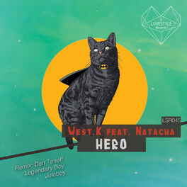 Album cover of Hero