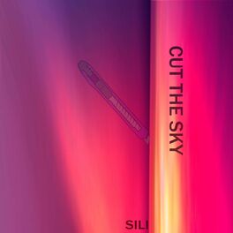 Album cover of Cut the Sky