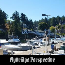 Album cover of Flybridge Perspective
