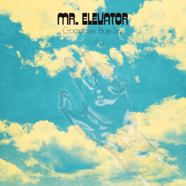 Album cover of Goodbye, Blue Sky