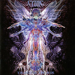 Album cover of Traced in Air