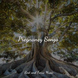 Album cover of Pregnancy Songs