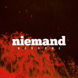 Album cover of Niemand