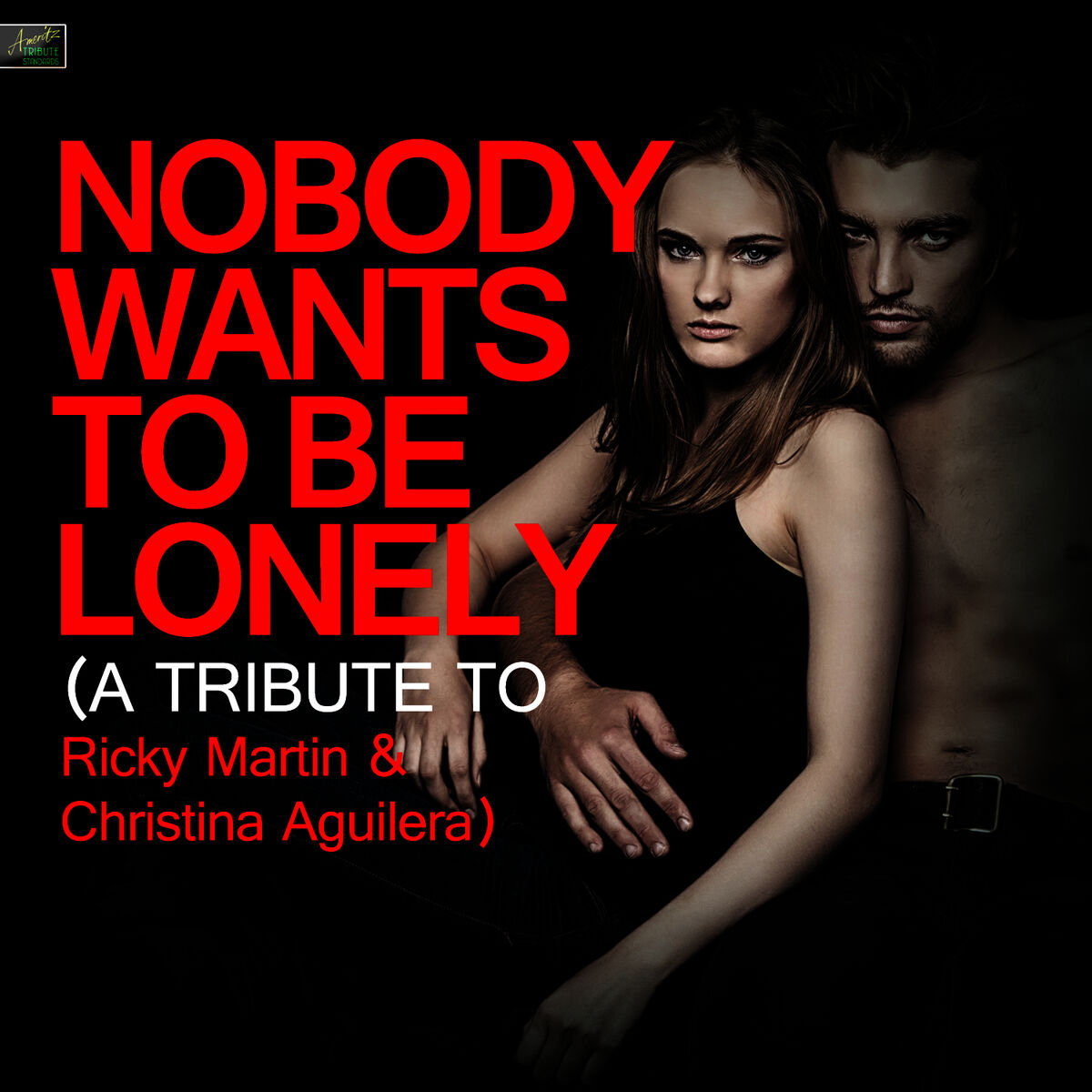 Ameritz Tribute Standards - Nobody Wants to Be Lonely (A Tribute to Ricky  Martin & Christina Aguilera): lyrics and songs | Deezer