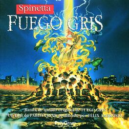 Album cover of Fuego Gris